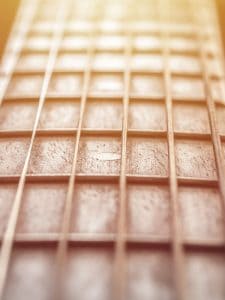 Public Address Announcer Guitar Fret Board