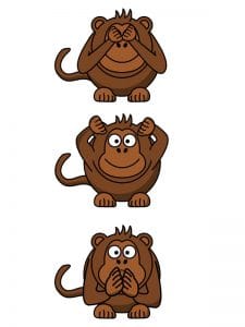 Public Address Announcer Monkey See Monkey Do