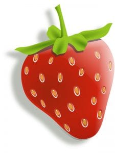 Public Address Announcer Strawberry