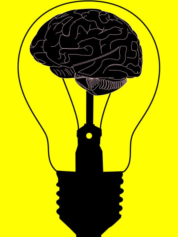 Public Address Announcer Brain