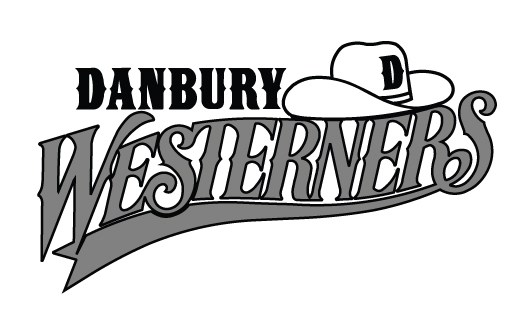 Public Address Announcer Job