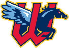 Public Address Announcer Job