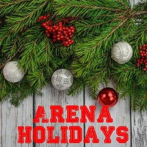 Announcer Arena Stadium Music