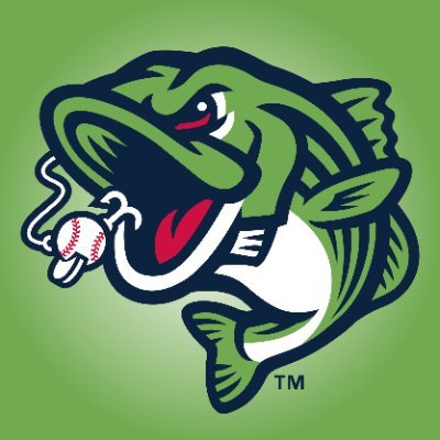 AAA Atlanta Braves Lawrenceville Georgia Baseball