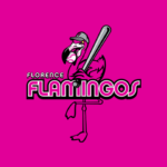 Florence Flamingos
