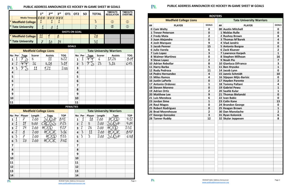 Hockey in game sheet