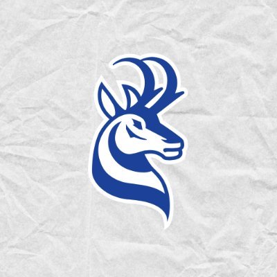 Alberta Canada Pronghorns