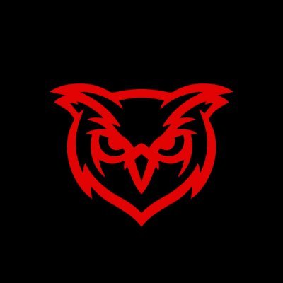 Houston Texas Boxing MMA