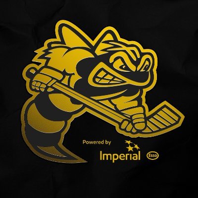 Ontario Canada Hockey