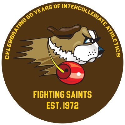 Fighting Saints Joliet Illinois