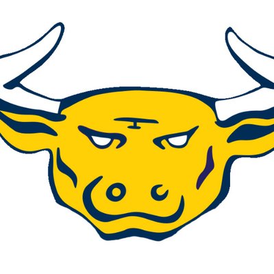 Golden Bulls Charlotte North Carolina