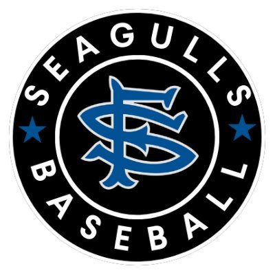 Baseball Academy San Bruno