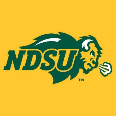 Fargo Bison