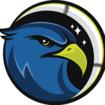 Upper Valley Nighthawks
