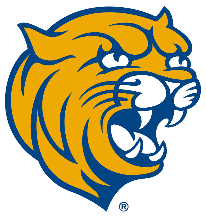 Charlotte Bobcats North Carolina